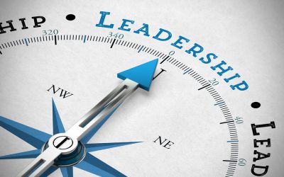 Transitioning into a Leadership Position