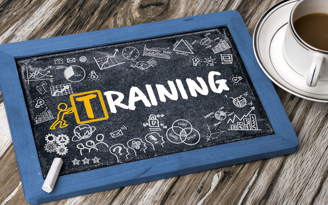 Why Should You Invest in Training Your Employees?